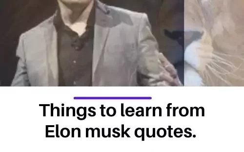 Elon musk quotes